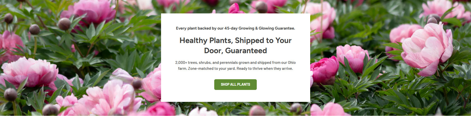 Bring Your Dream Garden Home