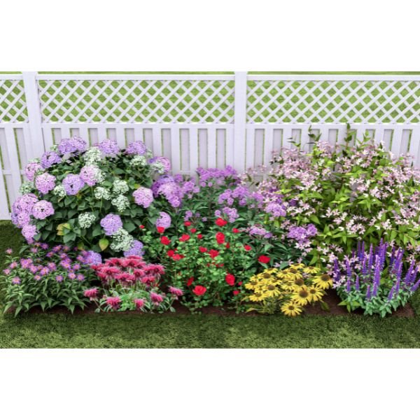 Plants That Work For A Summer Cut Flower Garden - Image 2