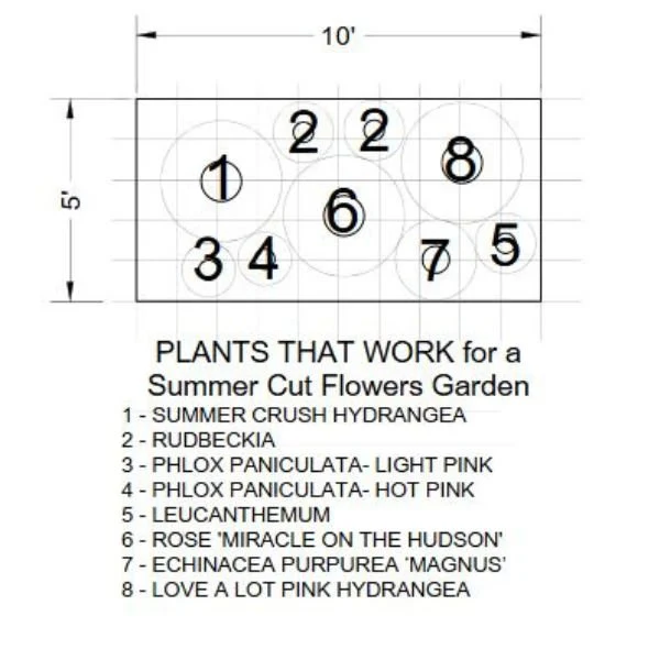 Plants That Work For A Summer Cut Flower Garden - Image 3